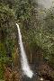 Just the Print