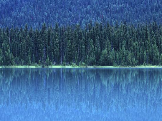 Premium Photographic Print, , large