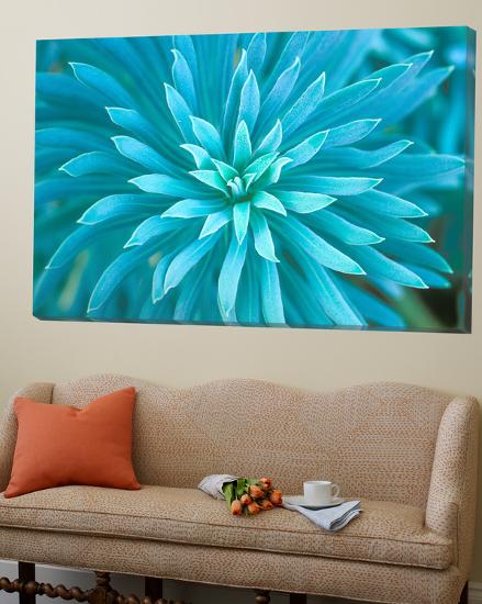Loft Art, , large