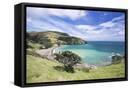 Framed Canvas