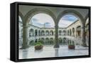 Framed Canvas