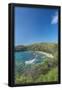 Essential Black