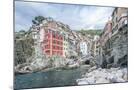 Wood Mount