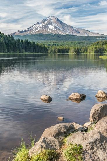 Premium Photographic Print, , large
