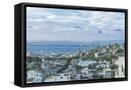Framed Canvas
