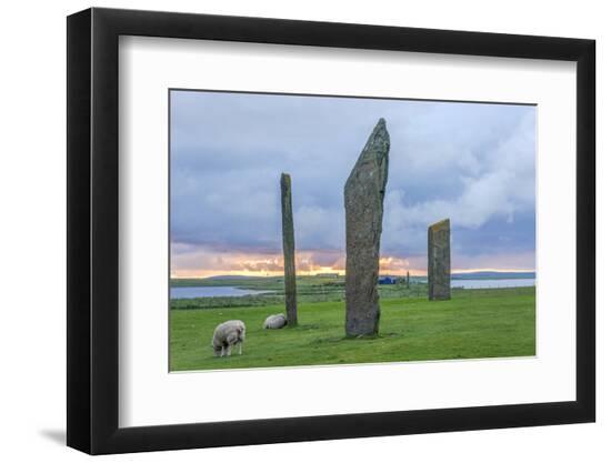 Premium Photographic Print, , large