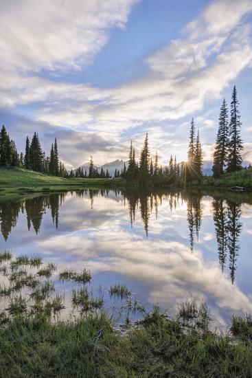 Premium Photographic Print, , large