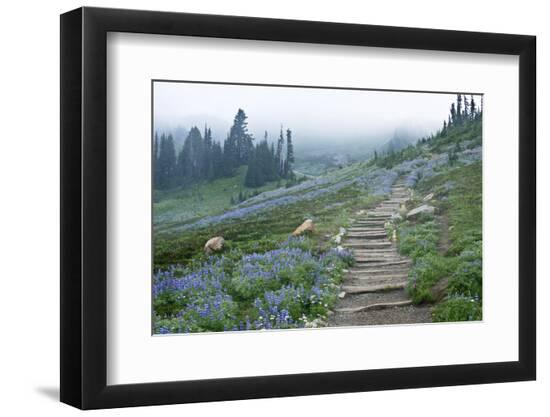 Premium Photographic Print, , large