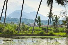 Outrigger Fishing Boat and People Pulling Net in by Hand to Shore Near Batu Karas-Rob-Photographic Print