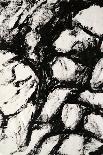Rock Surface 1-Rob Woods-Giclee Print