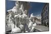 Robba fountain in Town Square and the Cathedral of St. Nicholas in the background, Ljubjlana, Slove-Sergio Pitamitz-Mounted Photographic Print