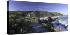 Robberg Nature Reserve, Plettenberg Bay, Western Cape, South Africa, Africa-Ian Trower-Stretched Canvas