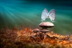 A Weaver Ant Want to Jump from a Mushroom with Green and Black Background-Robby Fakhriannur-Photographic Print