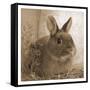 Robby-Sheldon Lewis-Framed Stretched Canvas