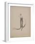 Robe lamé noir et argent garnie tulle noir-Madeleine Vionnet-Framed Giclee Print