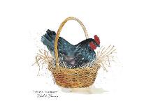 Chicken in a Basket-Robert A^ Fleming-Art Print