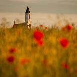 In the poppy fields-Robert Adamec-Framed Photographic Print