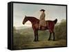 Robert Bakewell (1725-95) on Horseback-John Boultbee-Framed Stretched Canvas