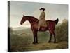 Robert Bakewell (1725-95) on Horseback-John Boultbee-Stretched Canvas