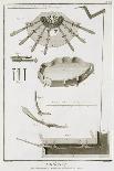 Plate XIX- a Harp from the Encyclopedia of Denis Diderot and Jean Le Rond D'Alembert, 1751-72-Robert Benard-Giclee Print