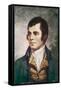 Robert Burns Scottish National Poet Portrait-null-Framed Stretched Canvas