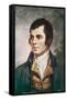 Robert Burns Scottish National Poet Portrait-null-Framed Stretched Canvas