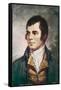 Robert Burns Scottish National Poet Portrait-null-Framed Stretched Canvas