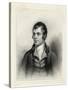 Robert Burns Scottish National Poet Portrait-Alexander Nasmyth-Stretched Canvas