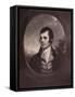 Robert Burns, Scottish poet, 19th century (1894)-William Walker-Framed Stretched Canvas