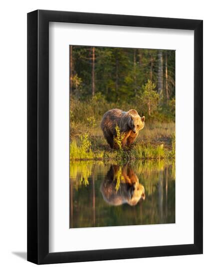 Photographic Print, , large