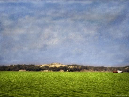 Photographic Print, , large