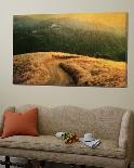 Lonely Autumn Path-Robert Cattan-Mounted Photographic Print