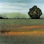 Distant Meadow I-Robert Charon-Art Print