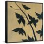 Canvas Black