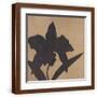Brown Frame