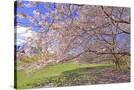 Stretched Canvas