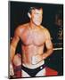 Robert Conrad-null-Mounted Photo