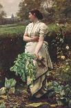Picking Turnips-Robert Crawford-Framed Giclee Print