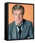 Robert Culp - The Greatest American Hero-null-Framed Stretched Canvas