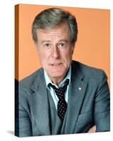 Robert Culp - The Greatest American Hero-null-Stretched Canvas