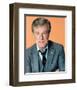 Robert Culp - The Greatest American Hero-null-Framed Photo