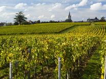 Vineyards, St. Emilion, Gironde, France, Europe-Robert Cundy-Photographic Print