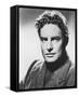 Robert Donat-null-Framed Stretched Canvas