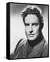 Robert Donat-null-Framed Stretched Canvas