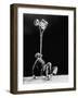 Robert Dotzauer's Muscular Chin Balancing a Lawn Mower-Ralph Crane-Framed Photographic Print