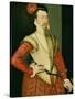 Robert Dudley (1532-88) 1st Earl of Leicester, C.1560S (Oil on Panel)-or Muelen, Steven van der Meulen-Stretched Canvas