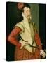 Robert Dudley (1532-88) 1st Earl of Leicester, C.1560S (Oil on Panel)-or Muelen, Steven van der Meulen-Stretched Canvas