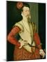 Robert Dudley (1532-88) 1st Earl of Leicester, C.1560S (Oil on Panel)-or Muelen, Steven van der Meulen-Mounted Giclee Print