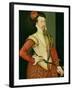 Robert Dudley (1532-88) 1st Earl of Leicester, C.1560S (Oil on Panel)-or Muelen, Steven van der Meulen-Framed Giclee Print