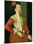 Robert Dudley (1532-88) 1st Earl of Leicester, C.1560S (Oil on Panel)-or Muelen, Steven van der Meulen-Mounted Giclee Print